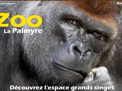 Zoo La Palmyre - Camping de la Gères La Rochelle / Surgères